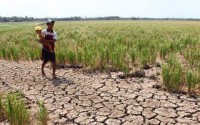 Biến đổi khí hậu và quá trình ứng phó ở Việt Nam